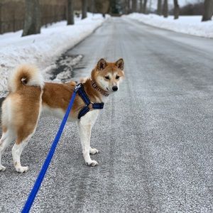 Meet your Posher, Caroline